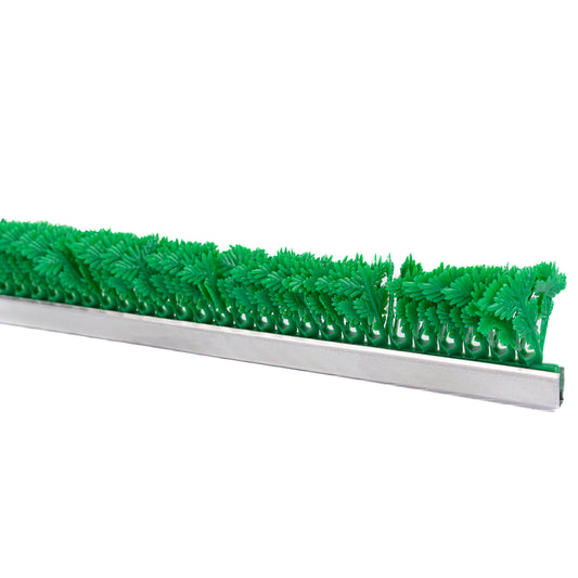 JR Imports Green Parsley Top