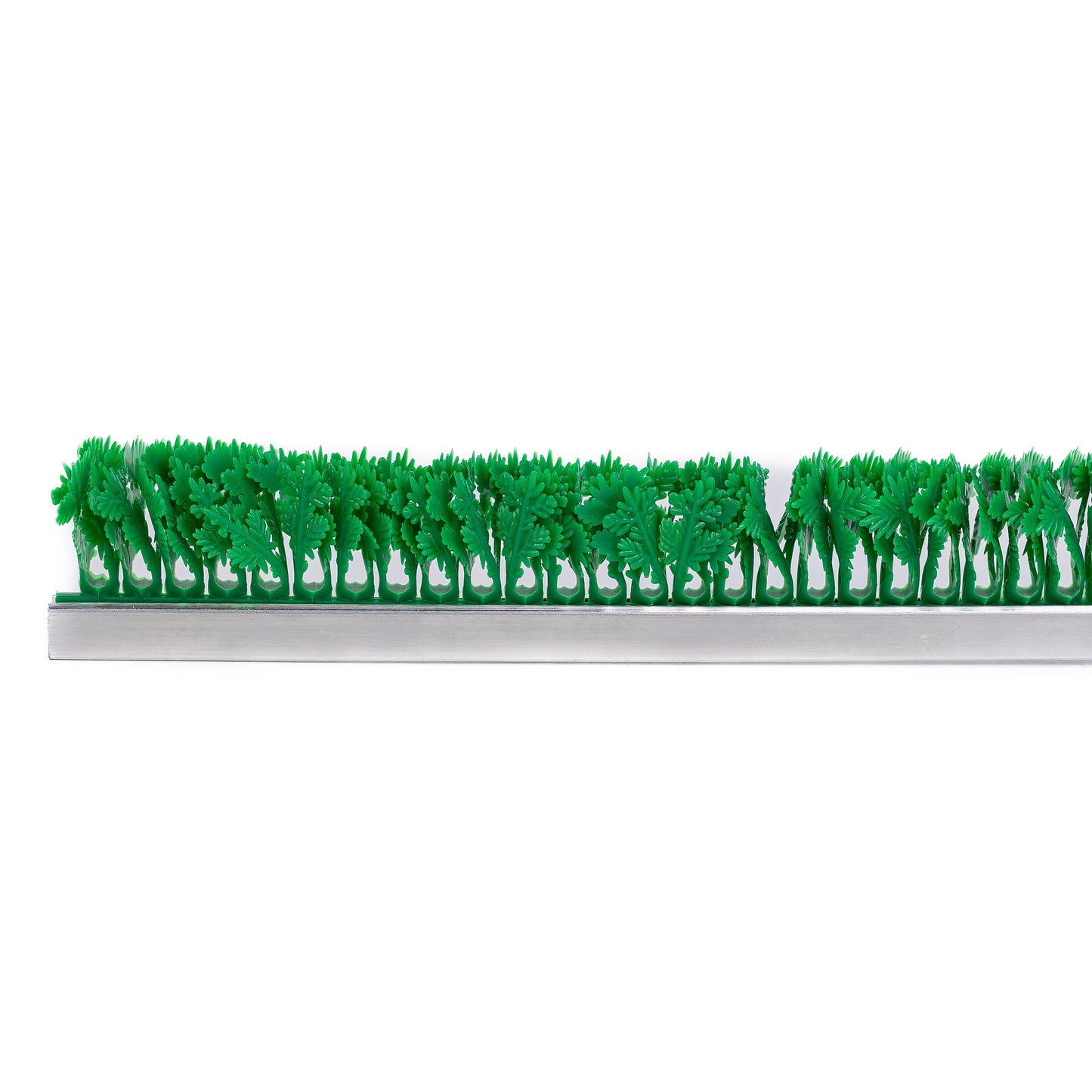 JR Imports Green Parsley Top