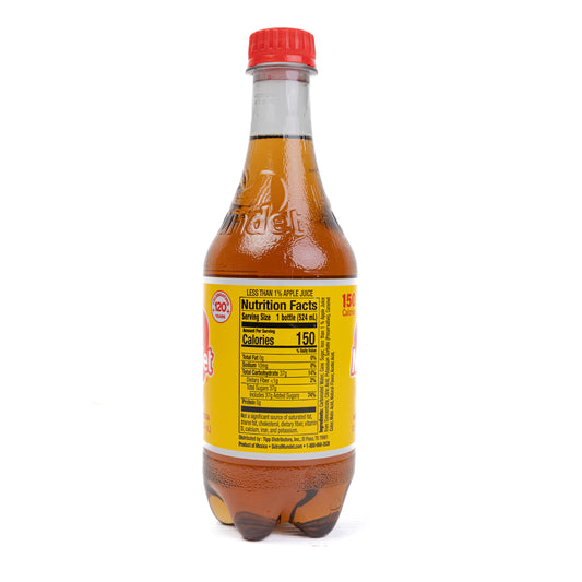 Sidral Mundet Apple Natural Flavor Soda 24/17.7 fl oz