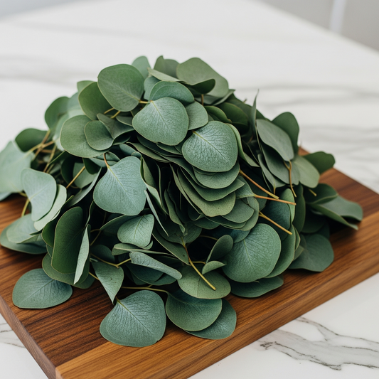 Hoja de Eucalipto (Eucalyptus Leaf)