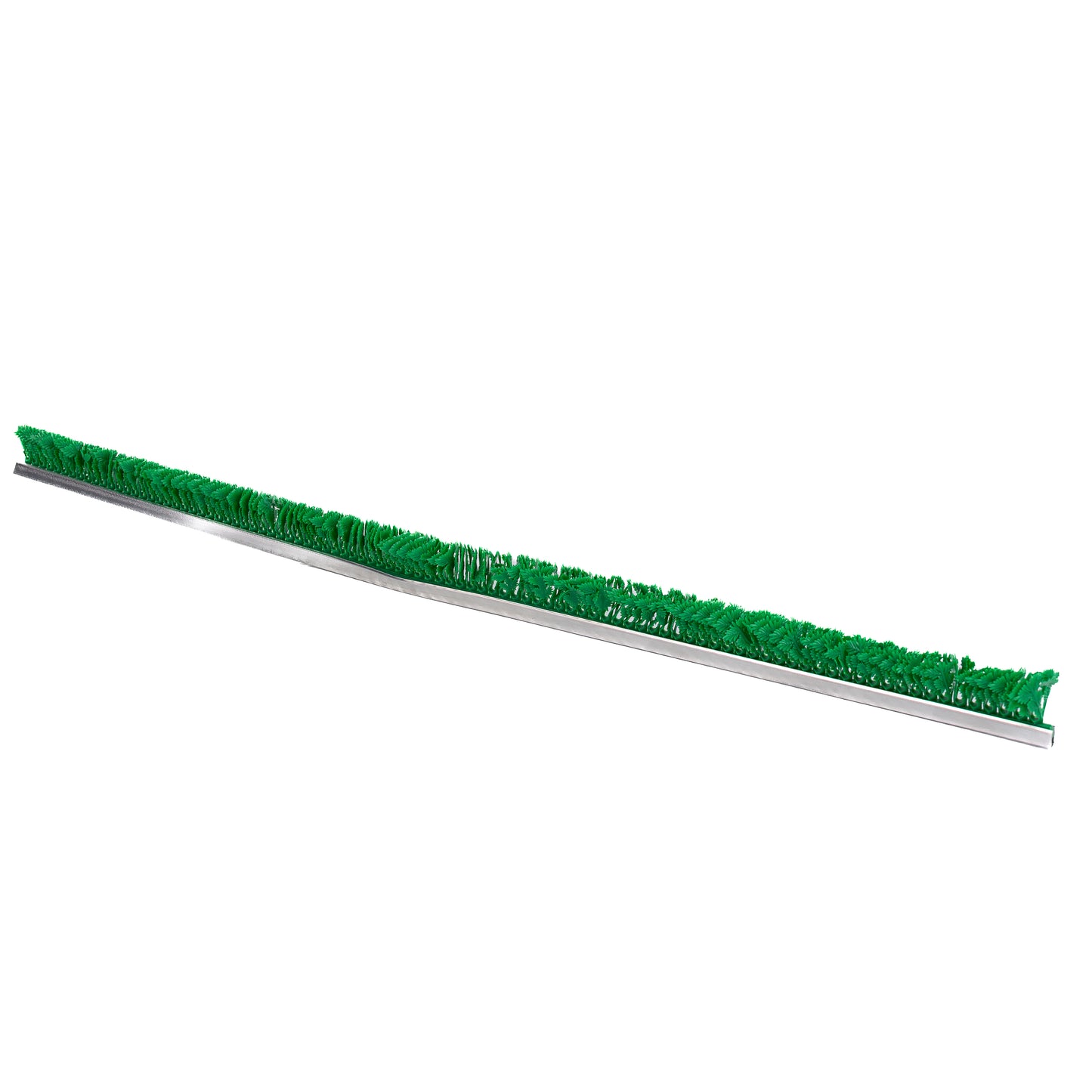 JR Imports Green Parsley Top