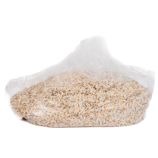 Roasted & Salted LadyNail Pumpkin Seeds 20Lbs